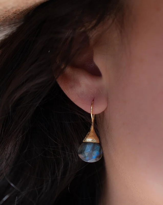 Patina brass earrings-Labradorite Tear Drop Earrings ~ 18k Gold Plated ~ ME187