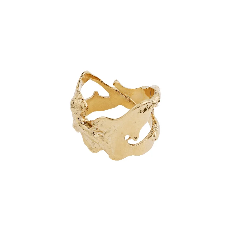 Heavy stone rings-COMPASS organic shaped ring gold-plated